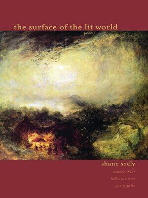 cover image of The Surface of the Lit World